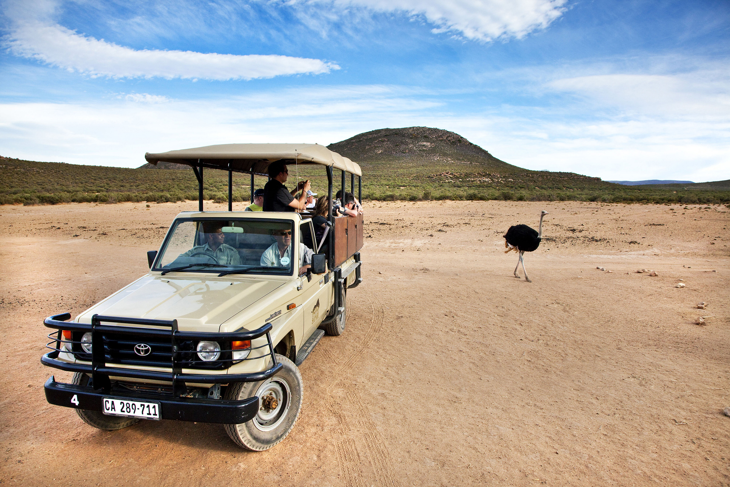 2 hours from Cape Town Safari at Aquila Private Game Reserve