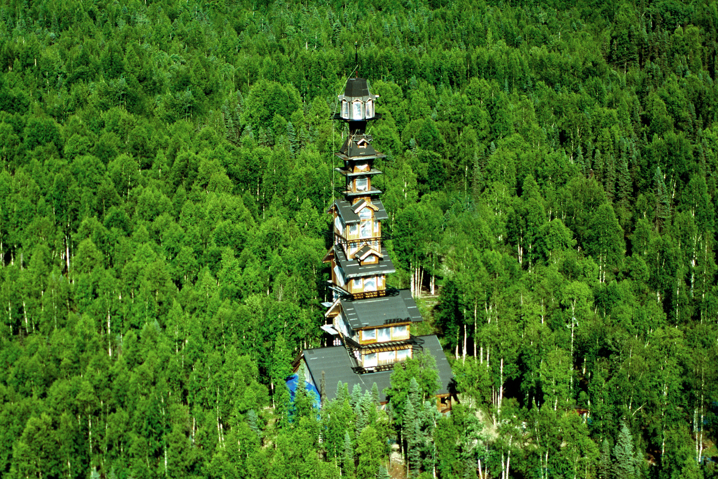 The unofficial Dr Seuss House