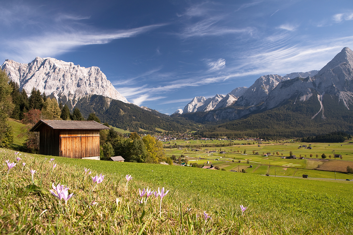 alpine summer meadow in austria view on mt sonnenspitz