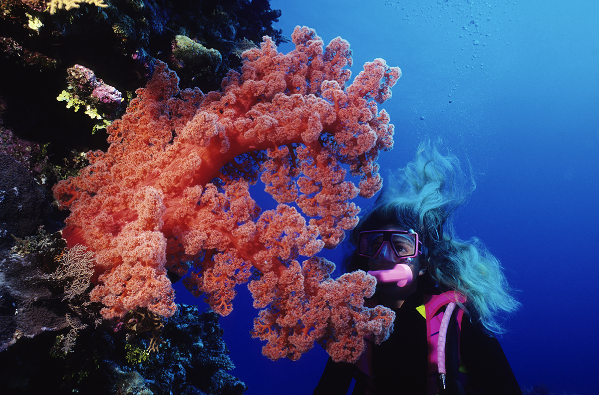 Woman Diver looking at red soft coral