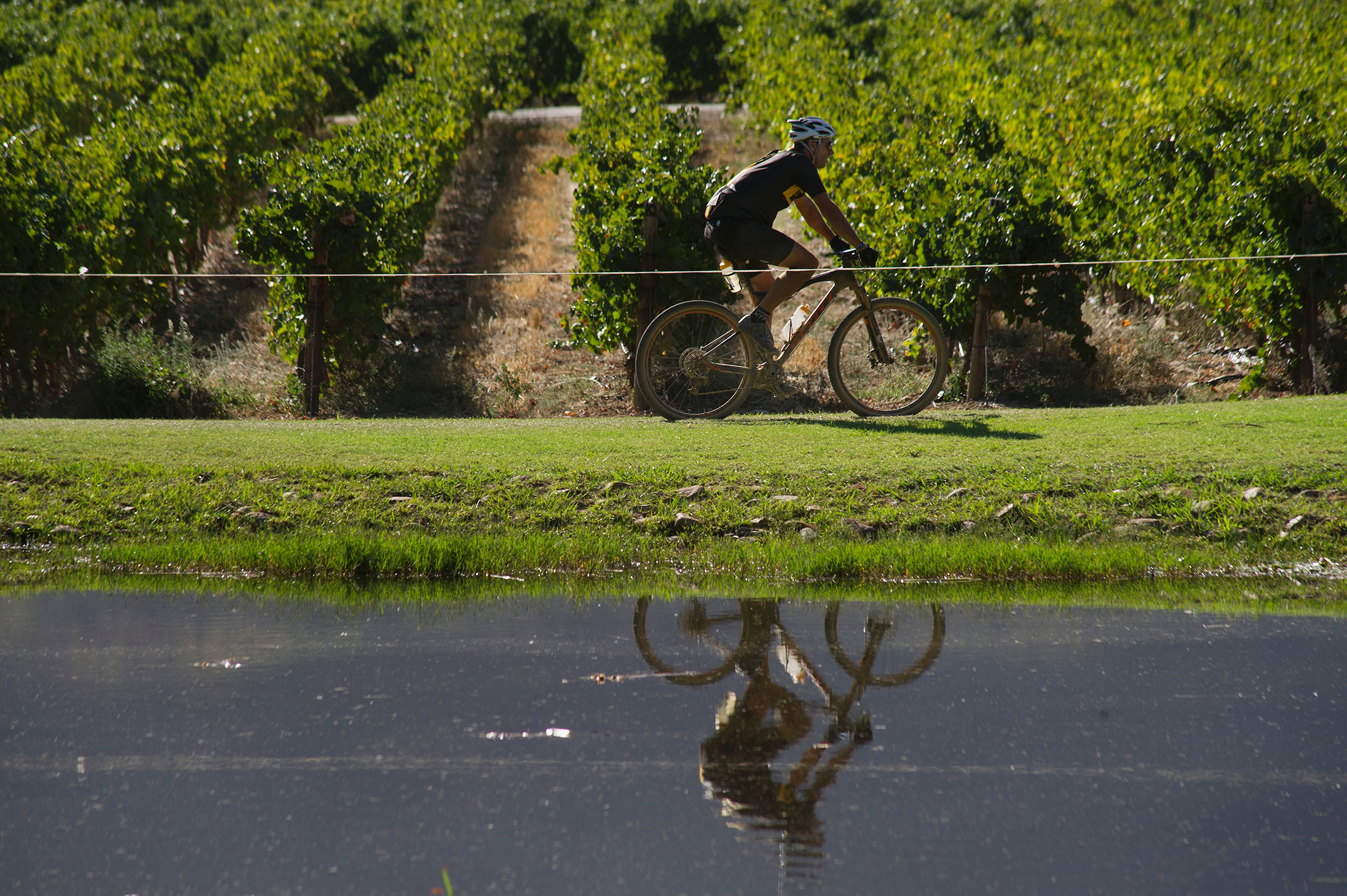 45 minutes from Cape Town Bike and wine tasting in Stellenbosch and Franschhoek