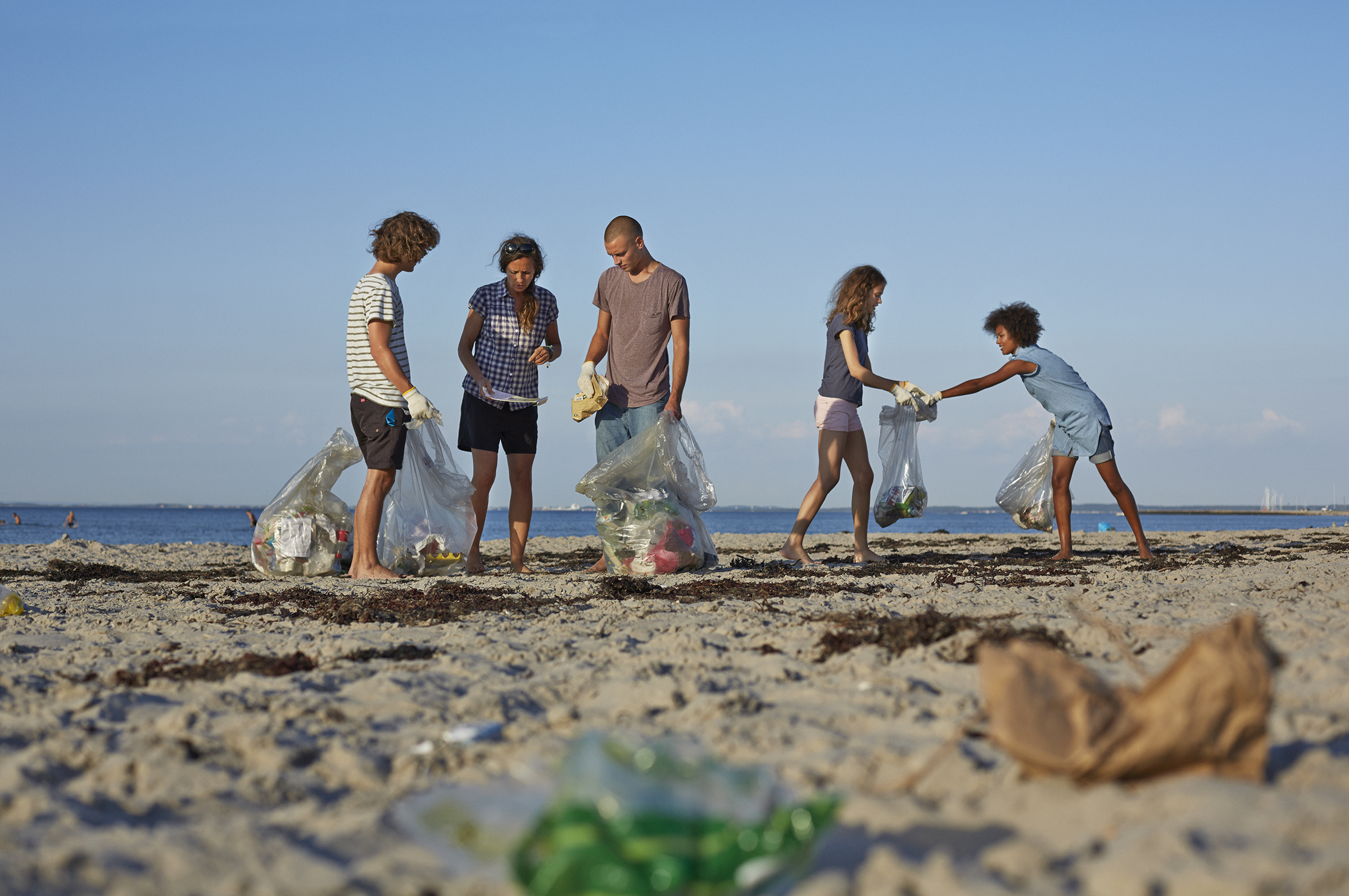 Eco traveller beach clean up